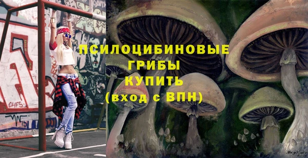 гашиш Бородино