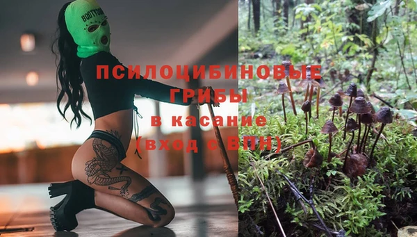 винт Бронницы