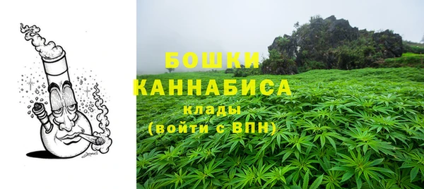 винт Бронницы