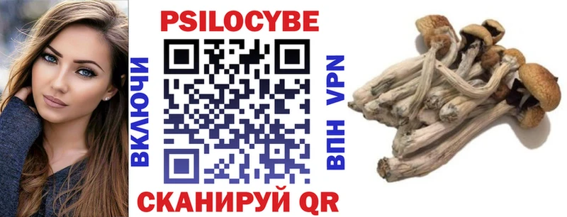 Псилоцибиновые грибы Psilocybe Таганрог